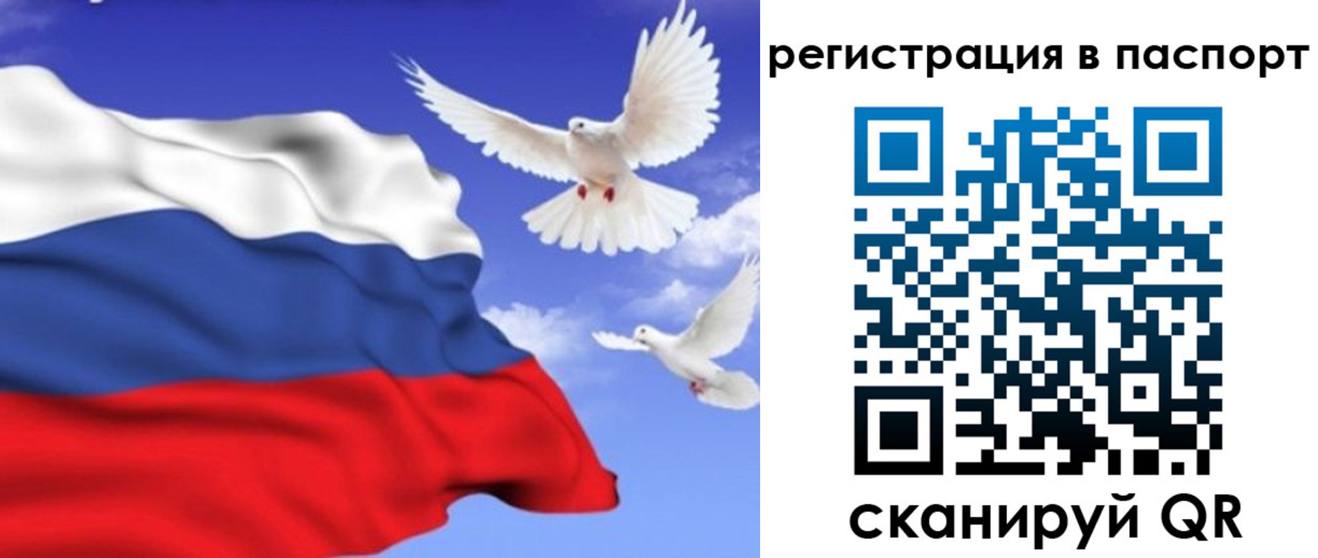 купить прописку в Бронницах